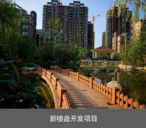 PSH單列式二層升降橫移類香蕉网站在线观看設備新樓盤開發項目