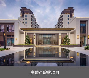 PSH單列式二層升降橫移類香蕉网站在线观看設備房地產驗收項目